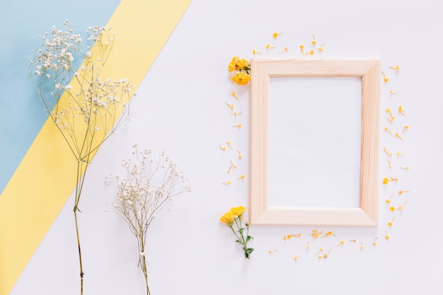 Frame and flowers