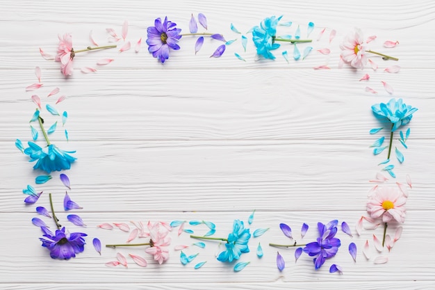 Frame from colorful daisies