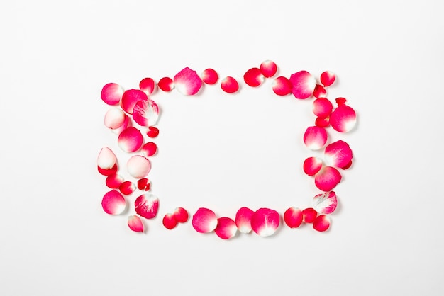 Frame from flower petals