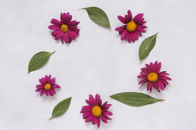 Frame from flowers and leaves on table