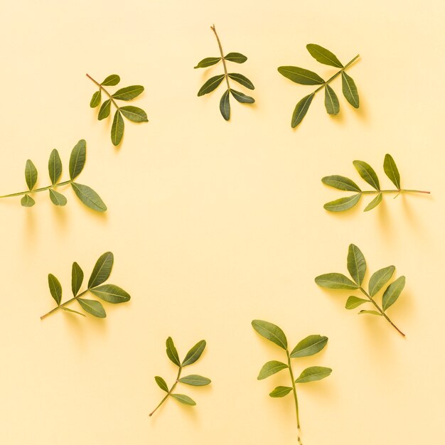 Frame from green plant branches on yellow table