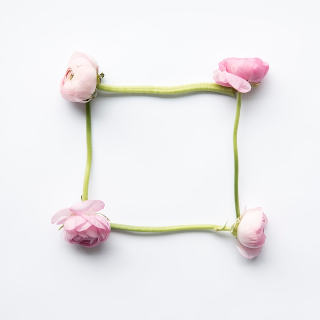 Free photo frame from pink peonies