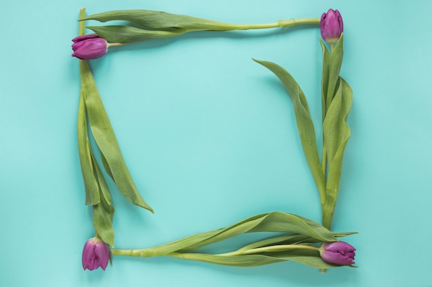 Frame from purple tulips on table