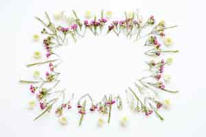 Free photo frame from white flowers