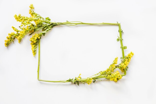 Frame from yellow flowers