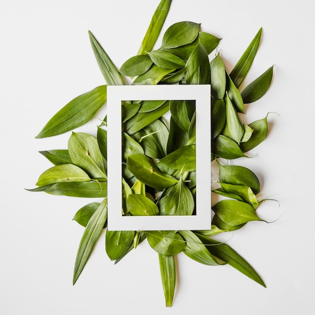 Free photo frame on green leaves