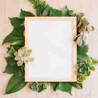 Free photo frame on leaves