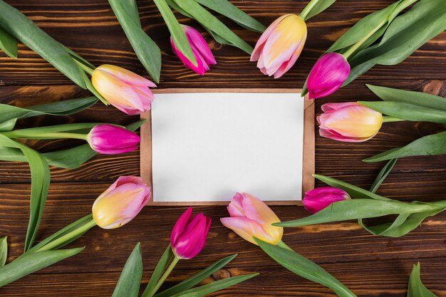 Frame letter around tulips