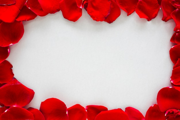 Frame made from rose petals on table
