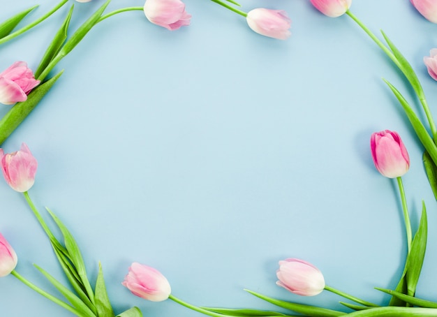 Frame made from tulips on blue table