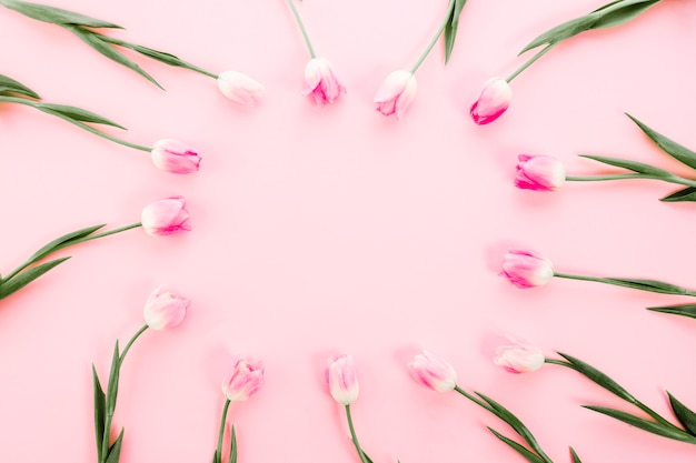 Free photo frame made from tulips on table