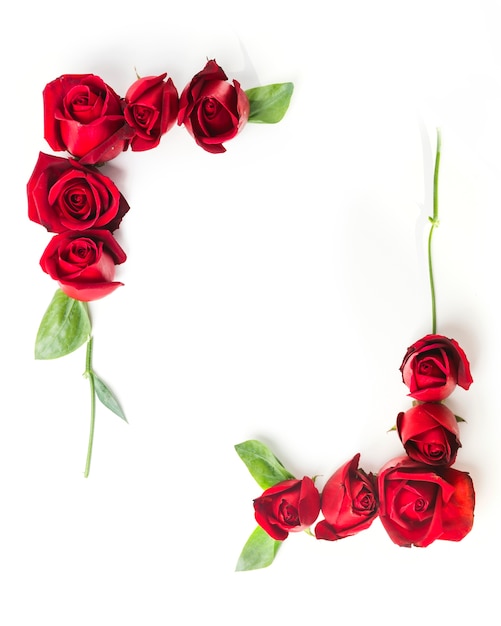 Frame made with decorated red roses on white background