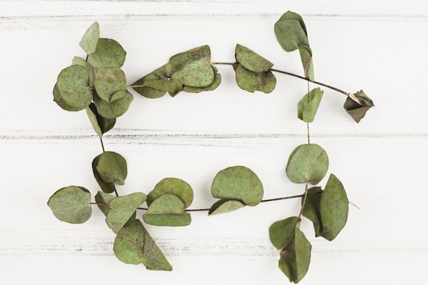 Frame made with dry leaves on white wooden backdrop