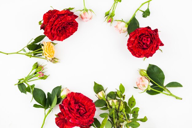 Frame made with leaves and roses on white backdrop