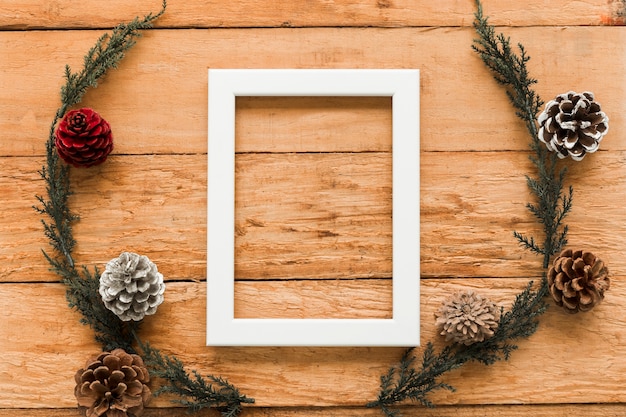 Frame near coniferous twigs and ornament snags 