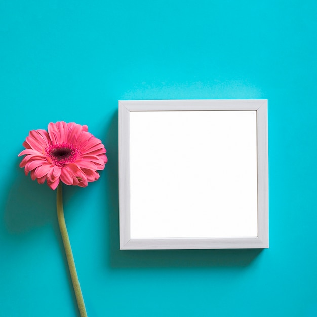 Frame and pink flower