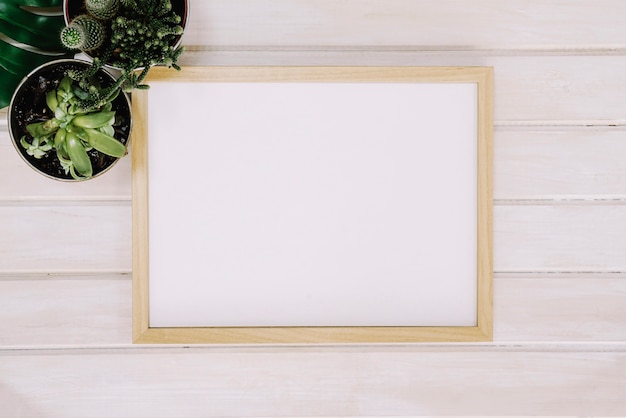 Free photo frame and plants