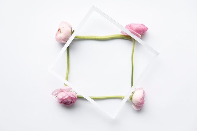 Free photo frame on square from peonies