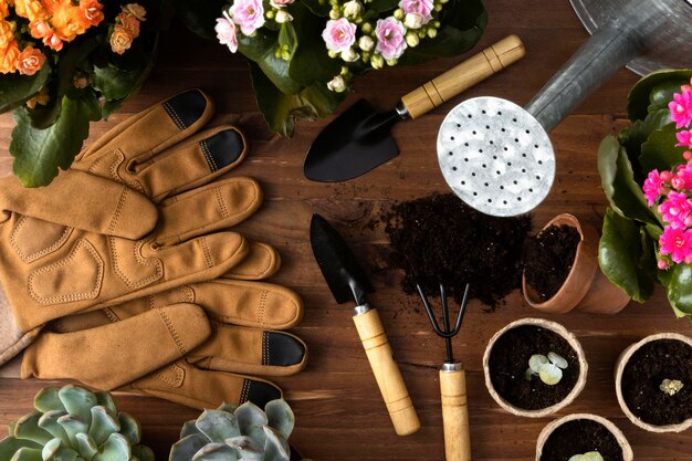 Frame of tools for gardening