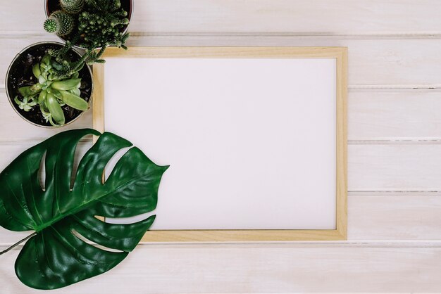 Frame with leaf and plants