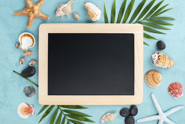 Free photo frame with shellfish and starfish