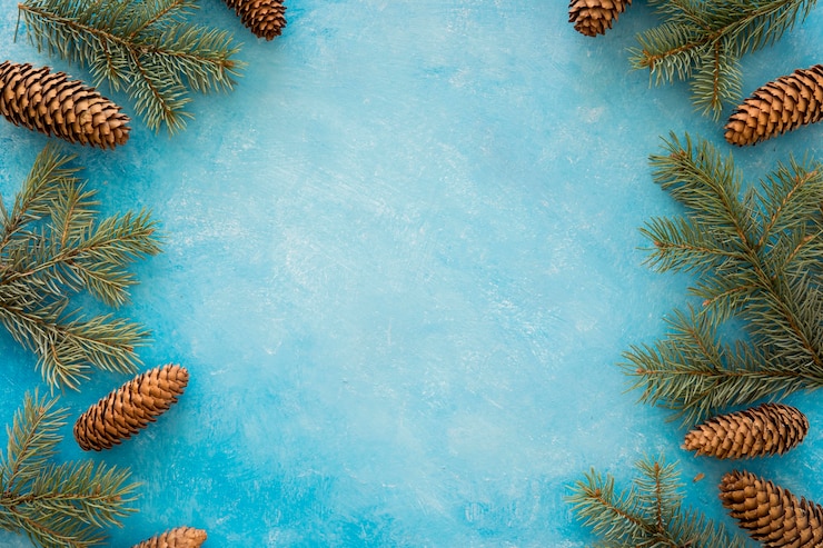 Free Photo frame wreath of pine needles and cones