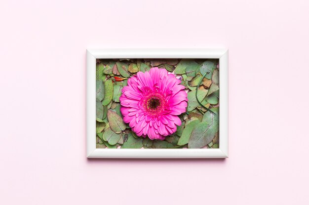 Framed flower