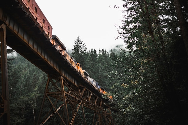 Freight train on bridge