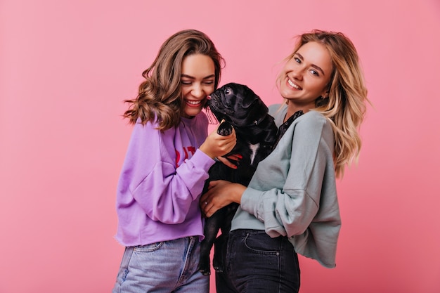 French bulldog licking smiling brunette girl. Blissful fair-haired lady holding black puppy on pastel.