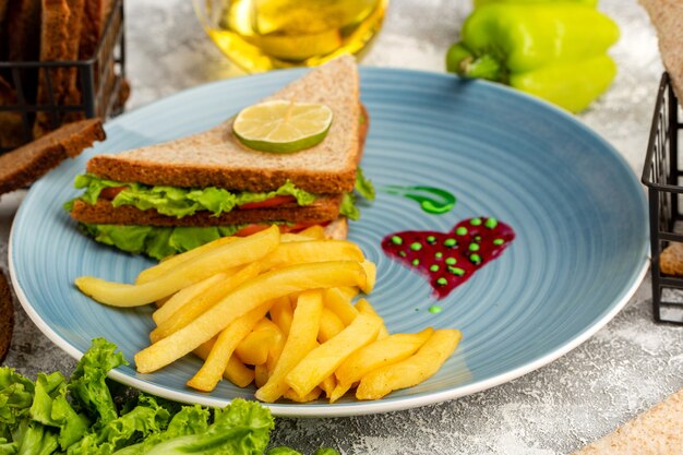 french fries with sandwiches inside blue plate with green salad oil and bell-pepper