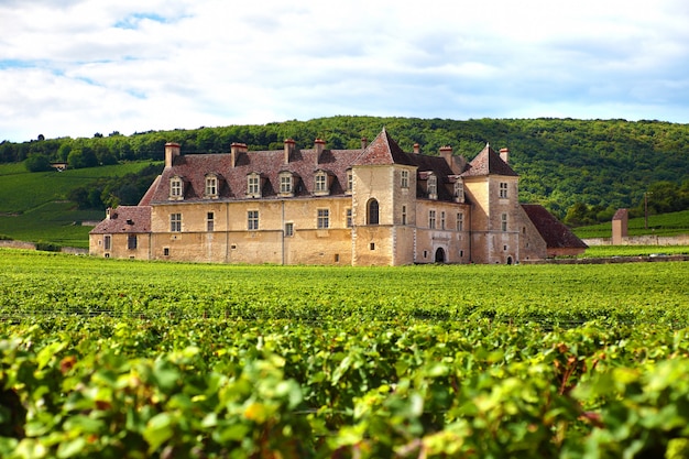 French vineyard chateau