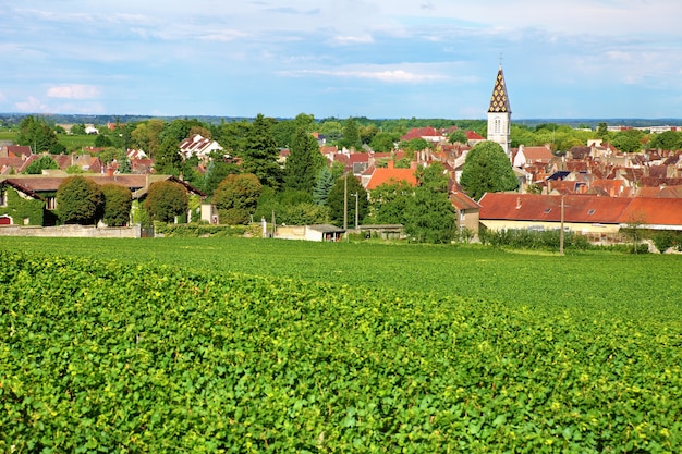 Villaggio vino francese