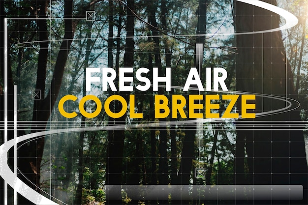 Fresh Air Cool Breeze Праздничный отпуск Релаксация