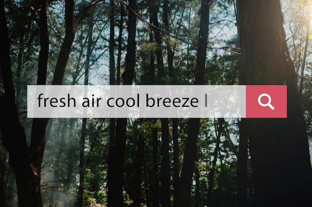 Fresh Air Cool Breeze Отдых Отдых Релаксация