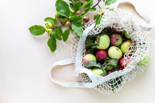 Fresh apples in a shopping mesh bag with branch of apples