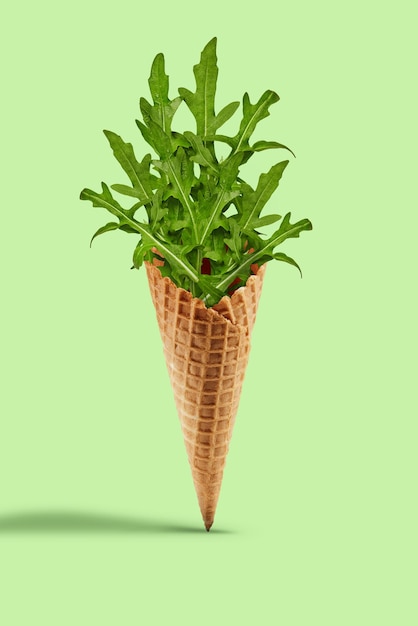 Fresh arugula leaves in a wafer cone against light green background. Concept of healthy nutrition, food and seasonal vegetables harvest. Close up, copy space