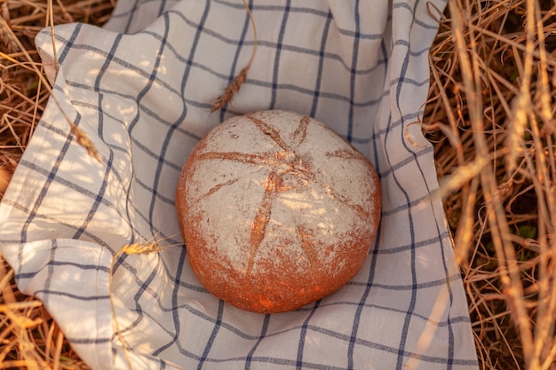 A fresh baked loaf of bread in a field of wheat or rye. the woman put a loaf of rye, fresh bread on the background of wheat ears. whole-grain rye bread on a checkered napkin in a field of wheat ears