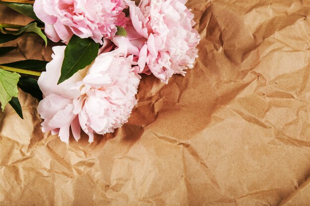 Fresh beautiful peony flowers