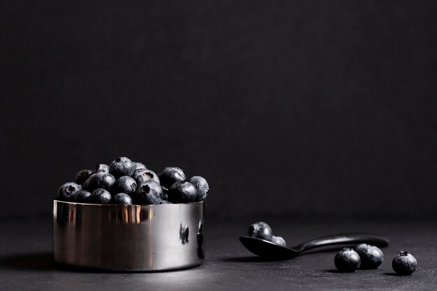 Fresh blueberries in metallic bowl
