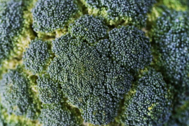 Fresh broccoli background