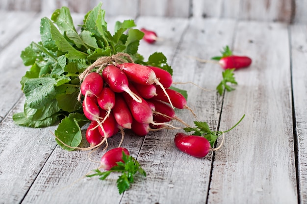 Fresh bunch of radishes