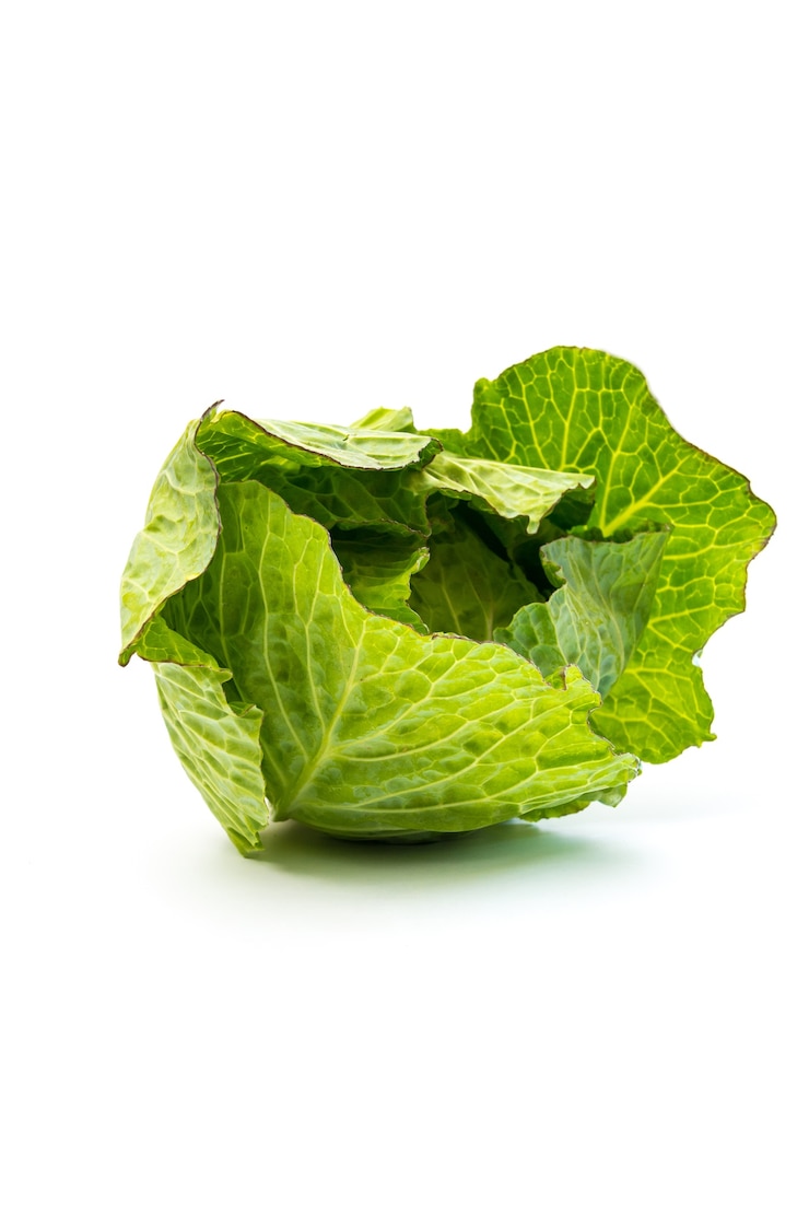 無料Photo 白い背景で隔離の新鮮なキャベツ野菜