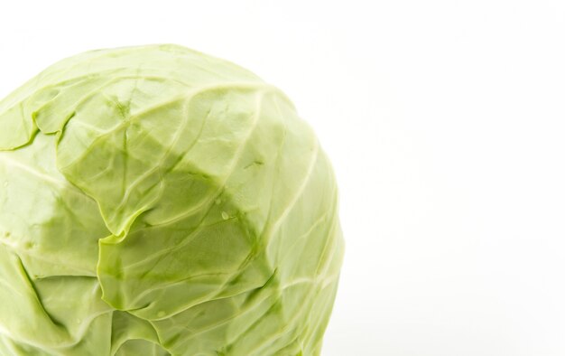 Free photo fresh cabbage