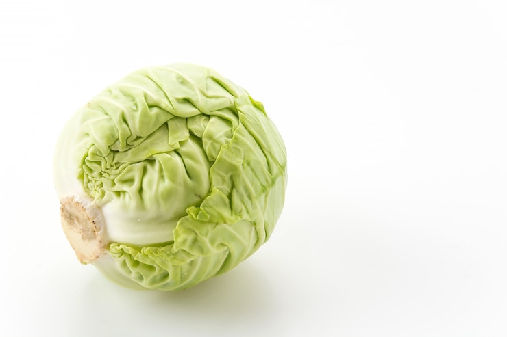 無料Photo 新鮮なキャベツ