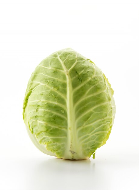 Fresh cabbage