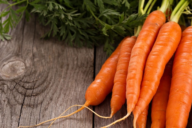 Бесплатное фото Свежая морковь с зелеными листьями