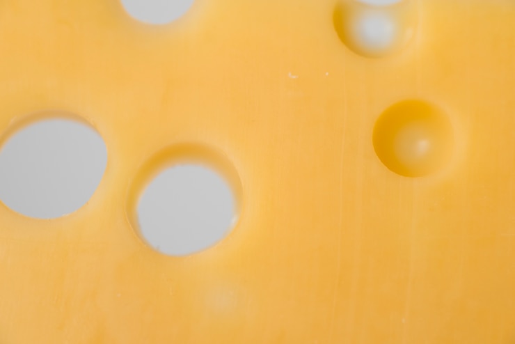 Free Photo fresh cheese with holes