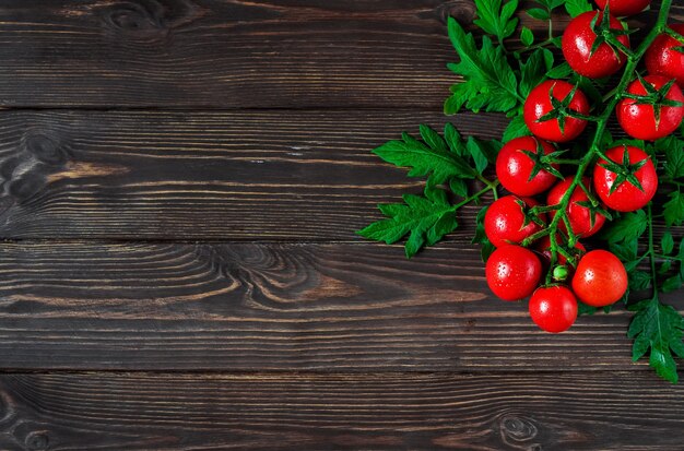 Fresh cherry tomatoes on a branch with leaves