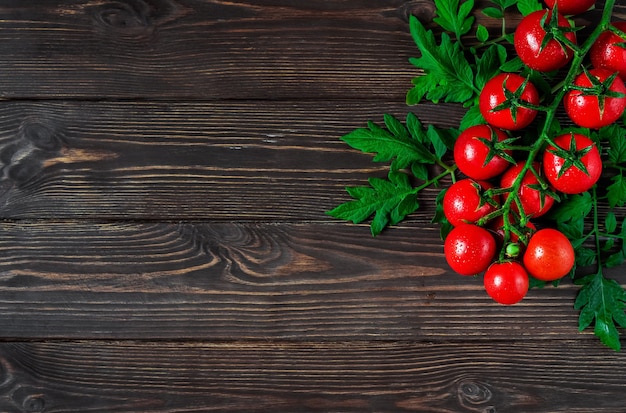 Fresh cherry tomatoes on a branch with leaves