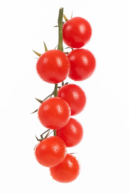 Fresh cherry tomatoes on a branch 